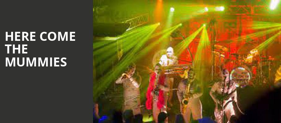 Here Come The Mummies, Empire Live, Albany