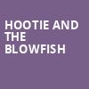 Hootie and the Blowfish, Saratoga Performing Arts Center, Albany
