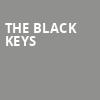 The Black Keys, Saratoga Performing Arts Center, Albany